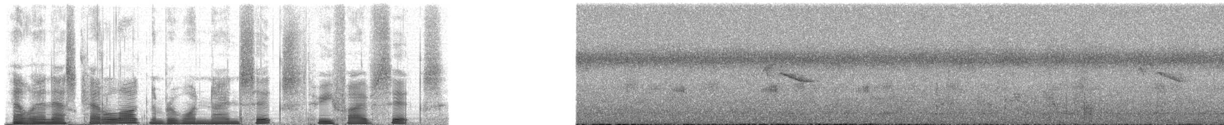 Chimpanzee - ML196356