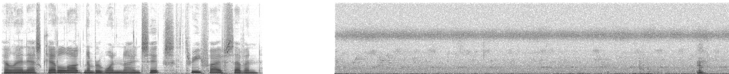 Chimpanzee - ML196357