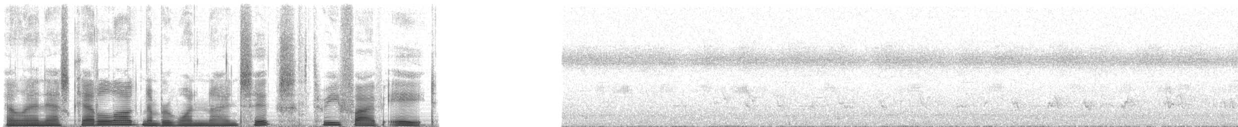 Chimpanzee - ML196358