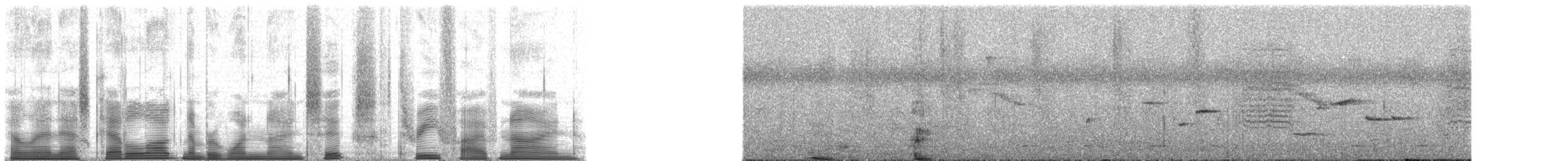 Chimpanzee - ML196359