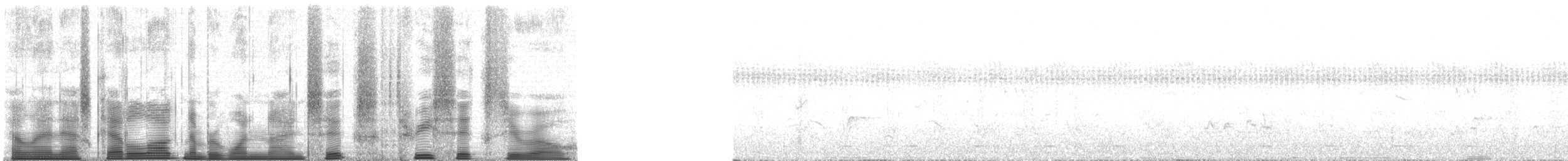 Chimpanzee - ML196360