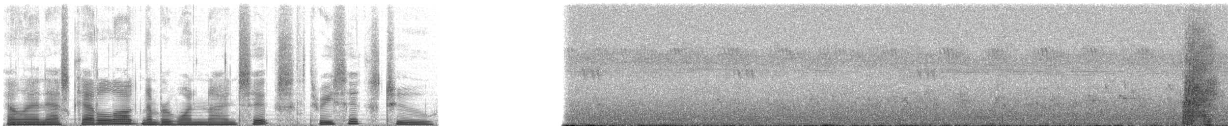 Chimpanzee - ML196362