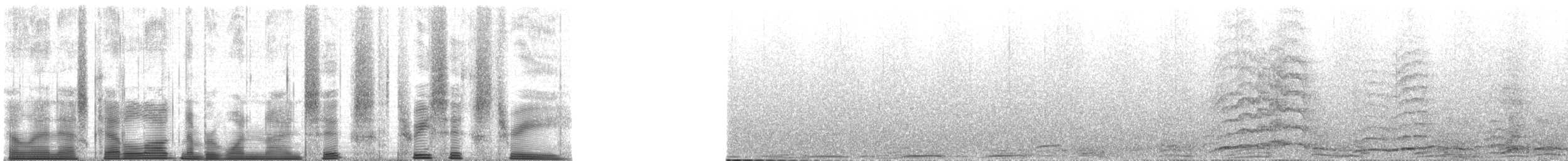 Chimpanzee - ML196363