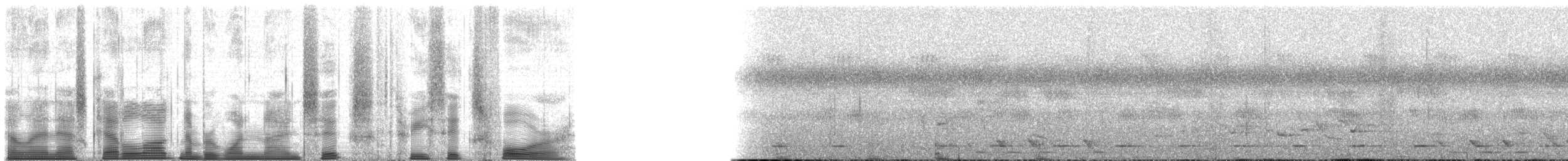 Chimpanzee - ML196364