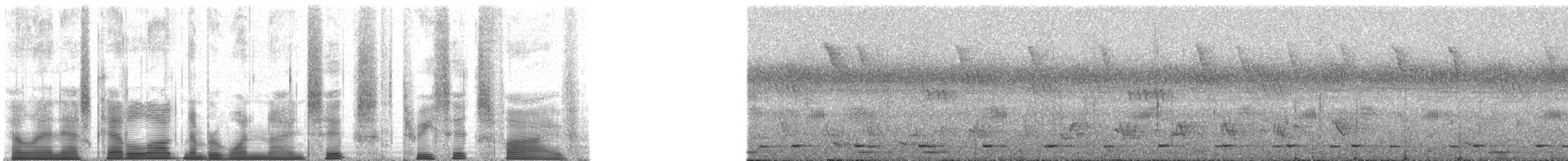 Chimpanzee - ML196365