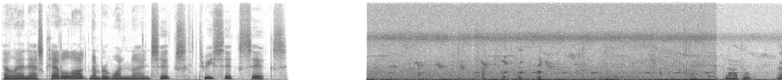 Chimpanzee - ML196366