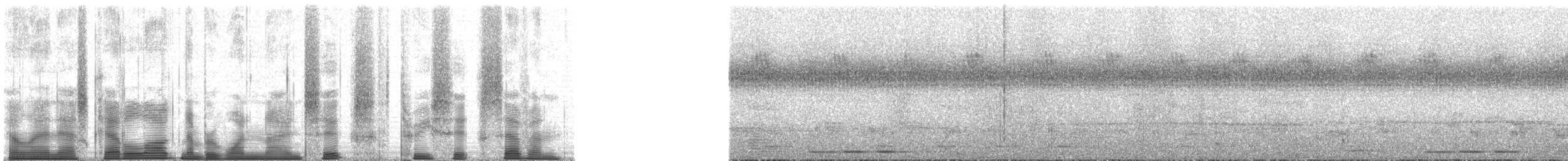 Chimpanzee - ML196367