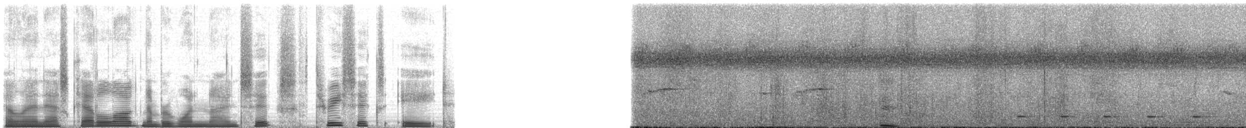 Chimpanzee - ML196368