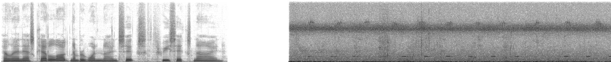 Chimpanzee - ML196369