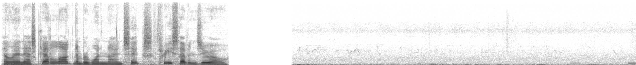 Chimpanzee - ML196370