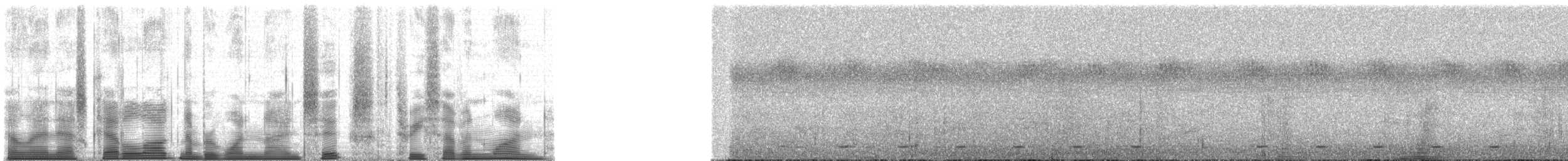 Chimpanzee - ML196371