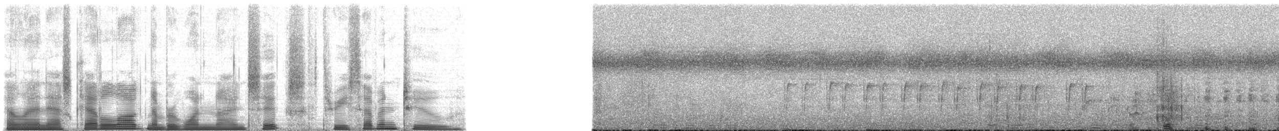 Chimpanzee - ML196372