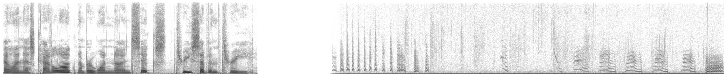 Tannenhuhn (franklinii/isleibi) - ML196373