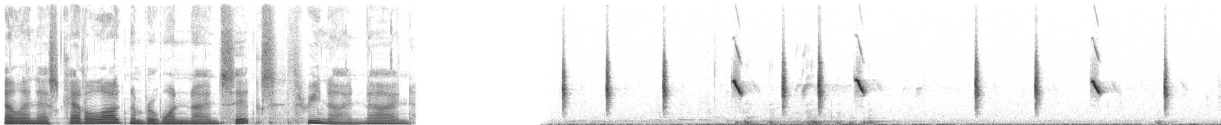 Кам’янка звичайна (підвид oenanthe/libanotica) - ML196399