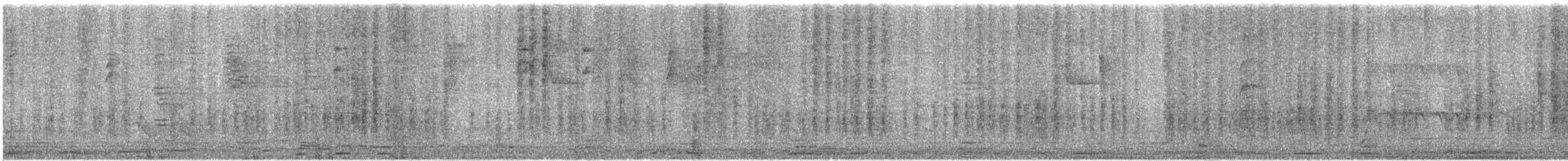 Oriole des vergers - ML196464181