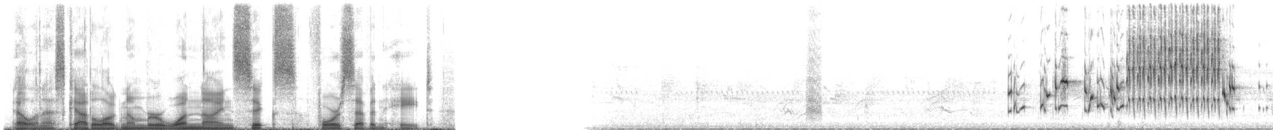 střízlík bažinný [skupina palustris] - ML196478