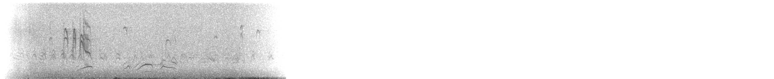 California Quail - ML196517721