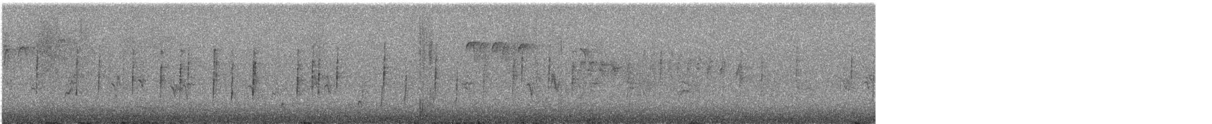 California Quail - ML196517731