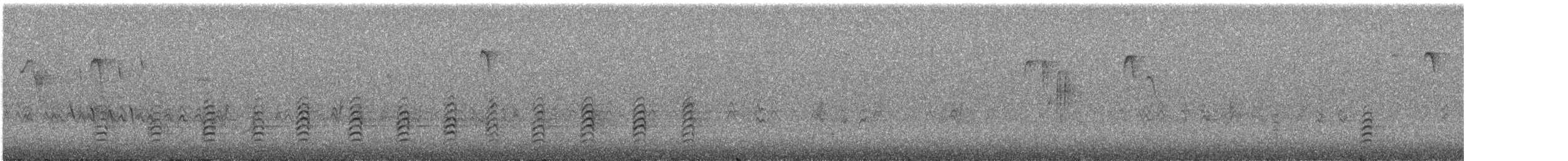 Red-breasted Nuthatch - ML196517941