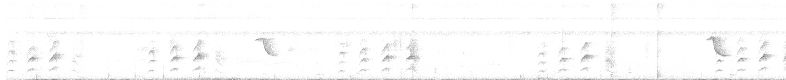 rustbryststifthale - ML196601311