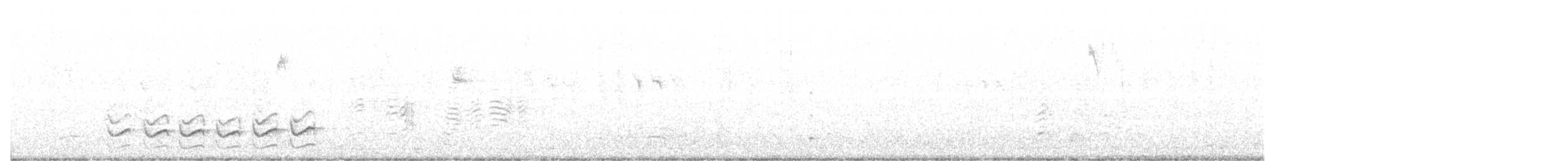 Sittelle à poitrine blanche - ML196611251