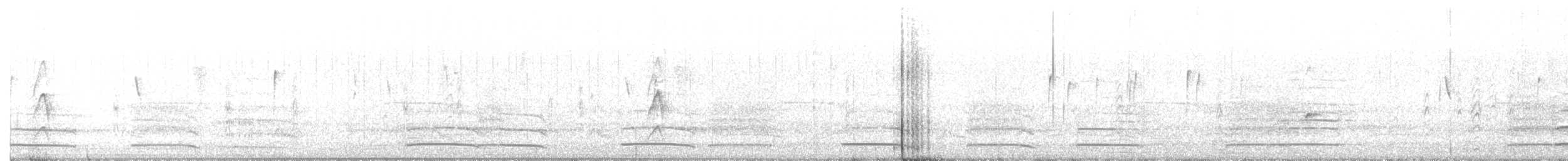 Краснохвостый траурный какаду - ML196635181