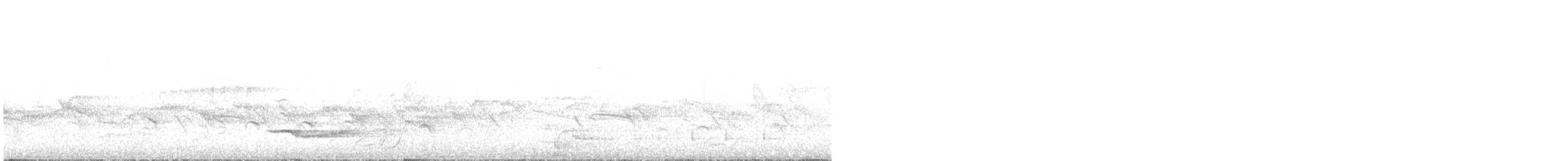 Riesennachtschwalbe - ML196656551