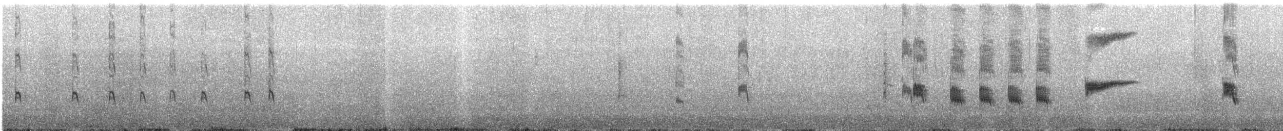 Quiscale des marais - ML196685181