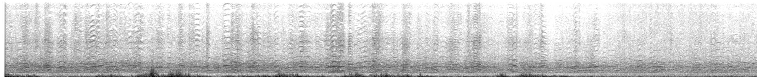 Zwergkanadagans - ML196689781