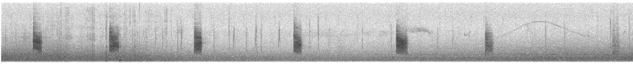 Hooded Yellowthroat - ML196713291