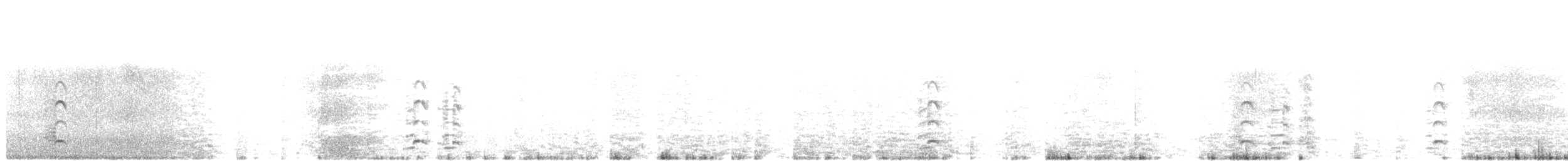 Гуска білолоба (підвид albifrons) - ML196774431