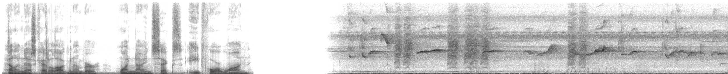 Short-tailed Drongo - ML196841