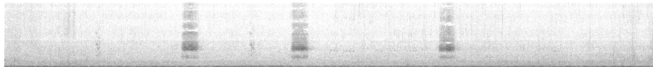 Black-naped Tern - ML196866521