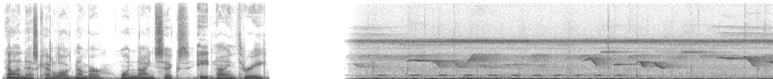 holub ametystový - ML196893