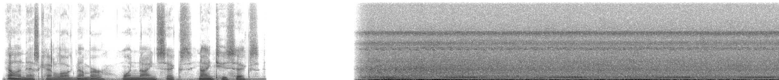 Cream-breasted Fruit-Dove - ML196926