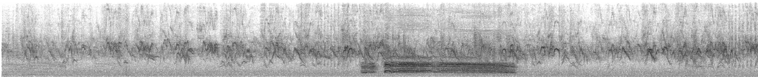 vrabec domácí - ML196932161