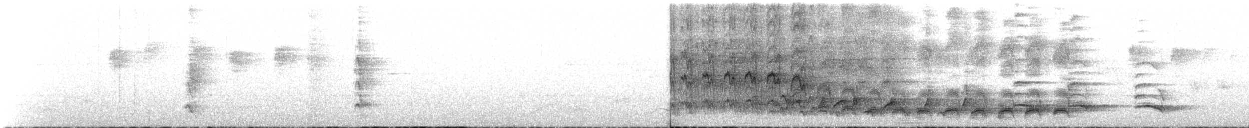 Charlatán de la Sonda - ML196963461