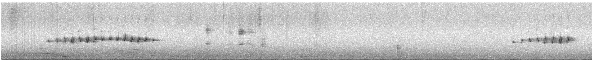 Пестрогрудый норник - ML196965141