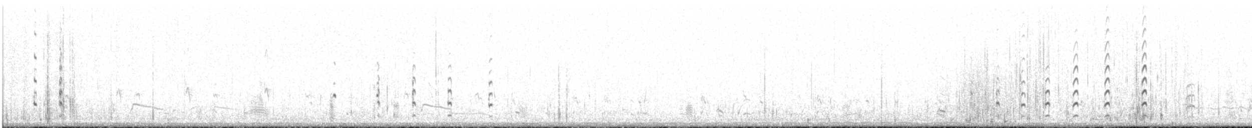 svartkronestylteløper - ML197057611