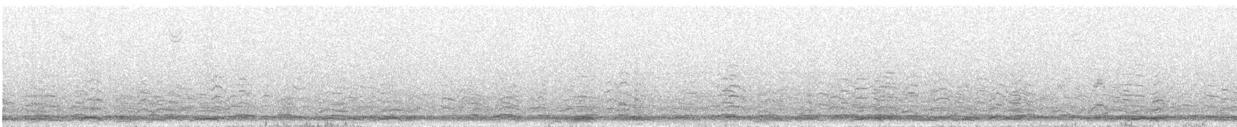 Cygne siffleur - ML197069191