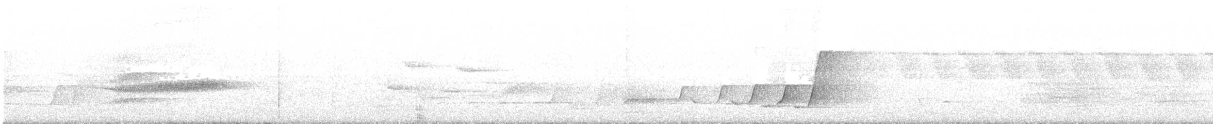Усатый шипоклюв - ML197083721