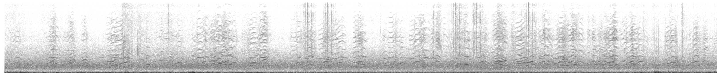 Казарка мала (підвид leucopareia) - ML197102531