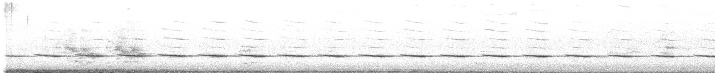 Sahul Cicadabird - ML197106811