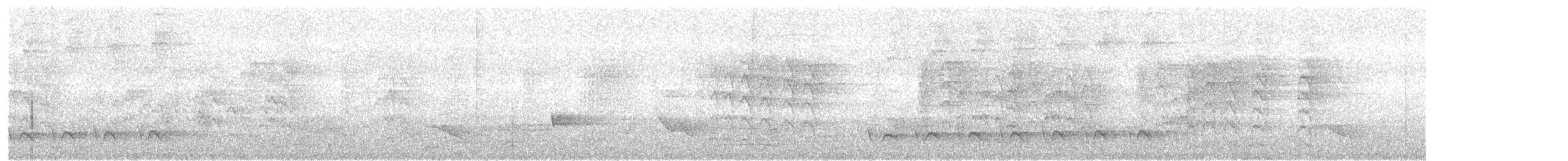 シラオラケットカワセミ - ML197128451