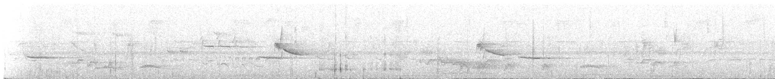 Каштановый скрытохвост - ML197173791
