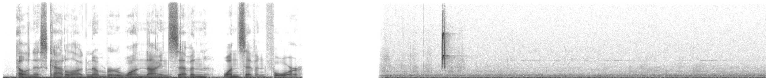 Ladder-backed Woodpecker - ML197174