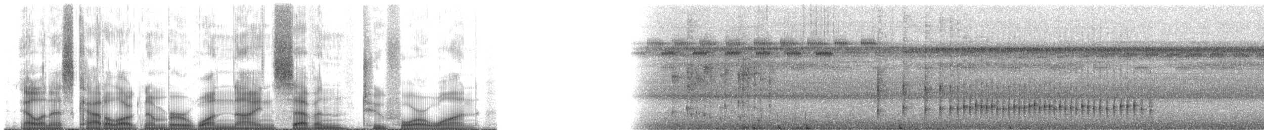 White-cheeked Tody-Flycatcher - ML197241