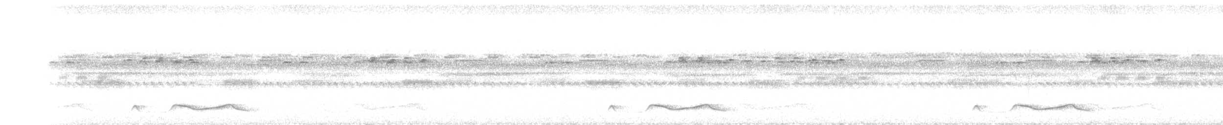 Belizenachtschwalbe - ML197332271