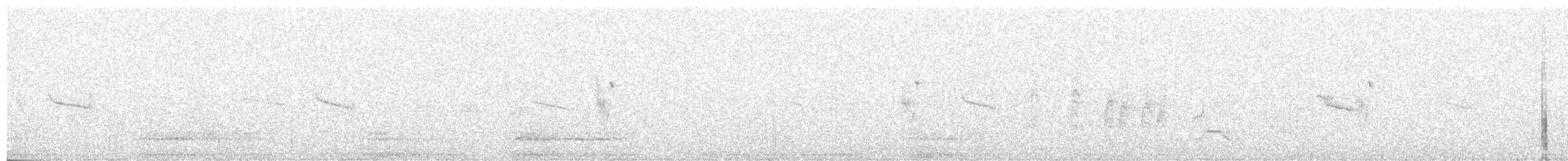 アラビアカラムシクイ - ML197364041