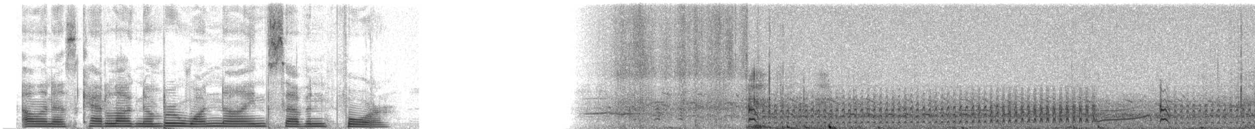 Северная качурка (leucorhoa) - ML1974